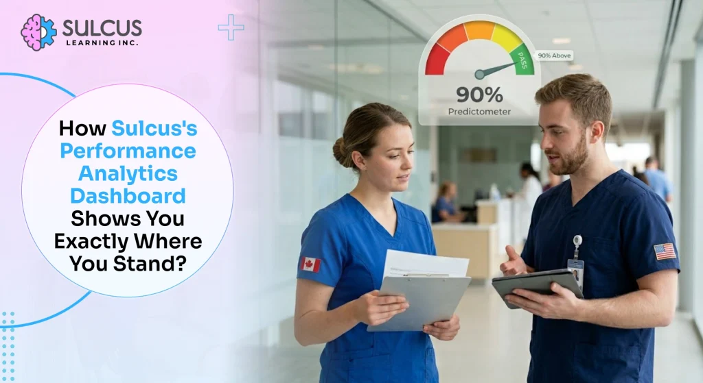 How Sulcus's Performance Analytics Dashboard Shows You Exactly Where You Stand?
