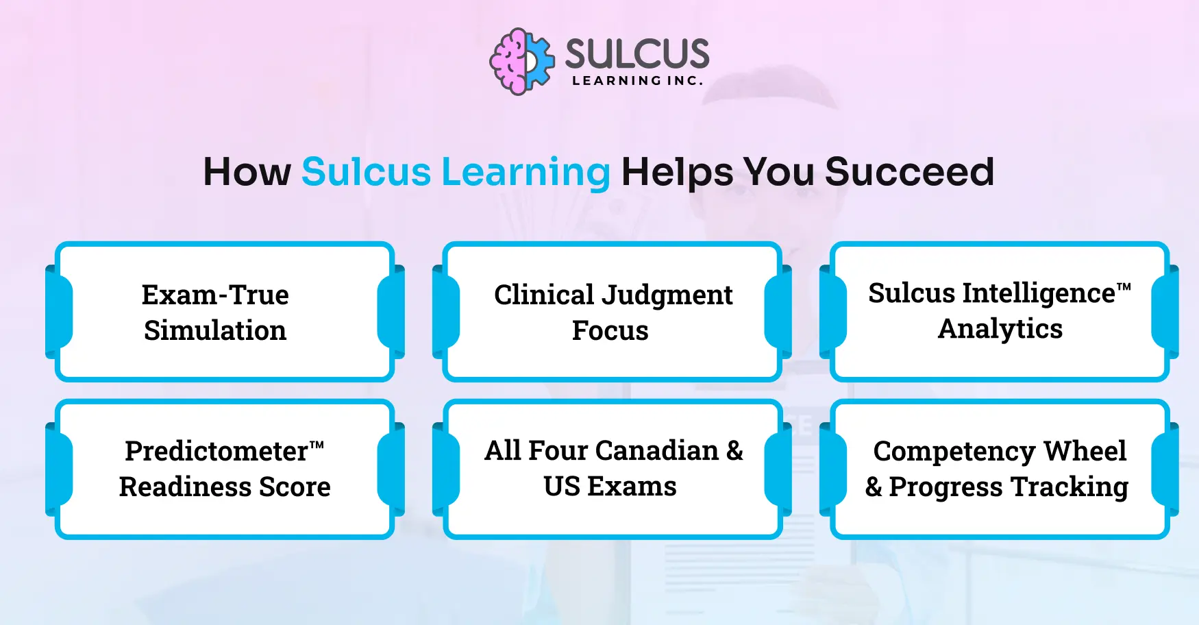 How Sulcus Learning Helps You Succeed
