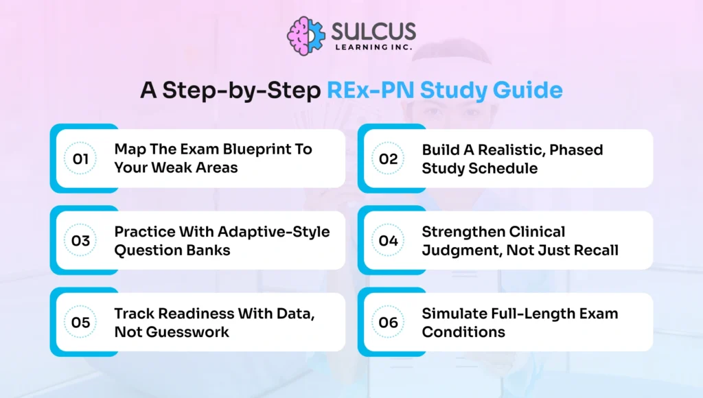 A Step-by-Step REx-PN Study Guide